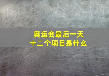 奥运会最后一天十二个项目是什么