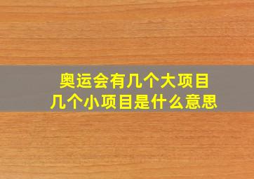 奥运会有几个大项目几个小项目是什么意思