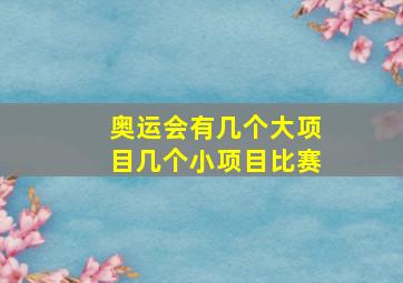 奥运会有几个大项目几个小项目比赛