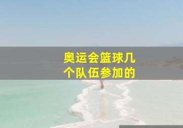 奥运会篮球几个队伍参加的