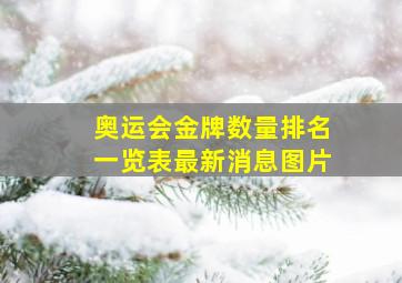 奥运会金牌数量排名一览表最新消息图片