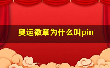 奥运徽章为什么叫pin