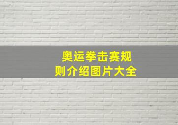 奥运拳击赛规则介绍图片大全