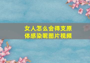 女人怎么会得支原体感染呢图片视频