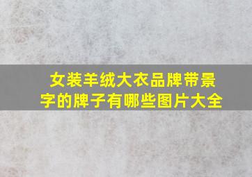 女装羊绒大衣品牌带景字的牌子有哪些图片大全