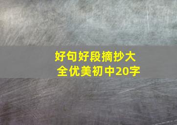 好句好段摘抄大全优美初中20字