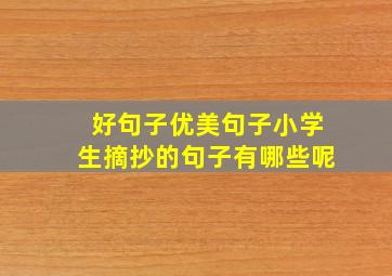 好句子优美句子小学生摘抄的句子有哪些呢