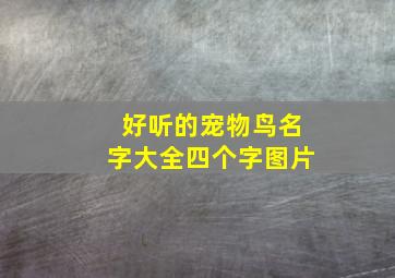 好听的宠物鸟名字大全四个字图片