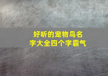 好听的宠物鸟名字大全四个字霸气