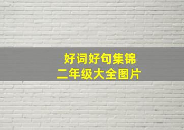 好词好句集锦二年级大全图片