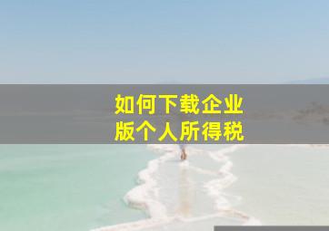 如何下载企业版个人所得税