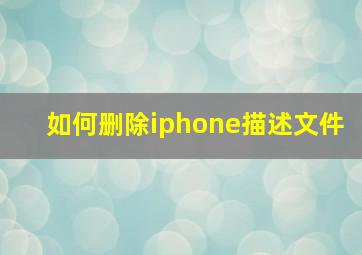 如何删除iphone描述文件