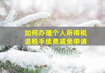 如何办理个人所得税退税手续费减免申请