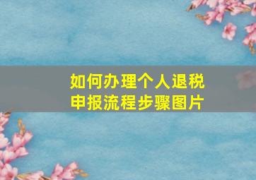 如何办理个人退税申报流程步骤图片