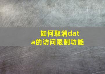 如何取消data的访问限制功能