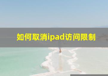 如何取消ipad访问限制