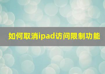 如何取消ipad访问限制功能