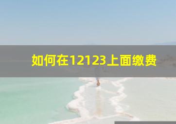 如何在12123上面缴费