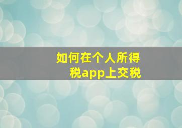 如何在个人所得税app上交税