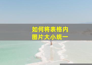 如何将表格内图片大小统一