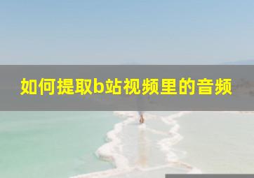 如何提取b站视频里的音频