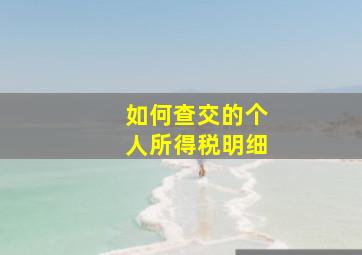 如何查交的个人所得税明细