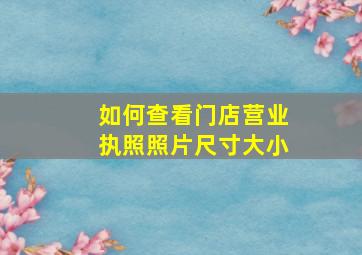 如何查看门店营业执照照片尺寸大小