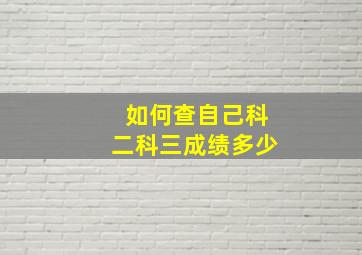 如何查自己科二科三成绩多少