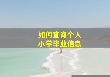 如何查询个人小学毕业信息