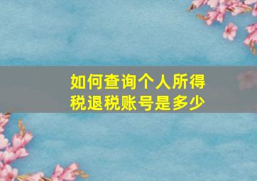 如何查询个人所得税退税账号是多少