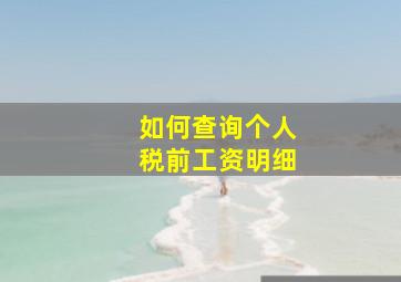 如何查询个人税前工资明细