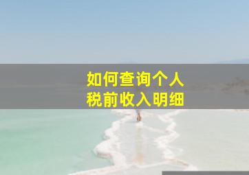 如何查询个人税前收入明细