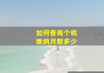 如何查询个税缴纳月数多少