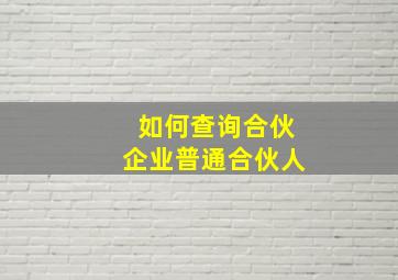 如何查询合伙企业普通合伙人