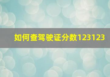 如何查驾驶证分数123123