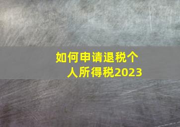 如何申请退税个人所得税2023