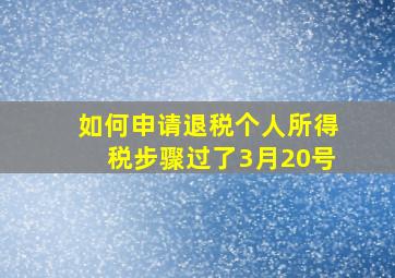 如何申请退税个人所得税步骤过了3月20号