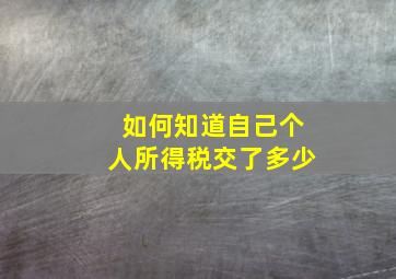 如何知道自己个人所得税交了多少