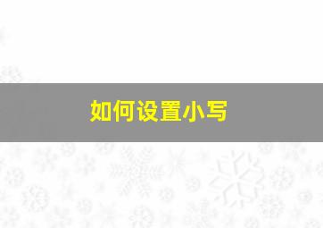 如何设置小写