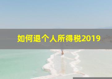 如何退个人所得税2019