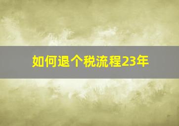 如何退个税流程23年