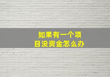 如果有一个项目没资金怎么办