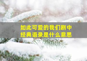 如此可爱的我们剧中经典语录是什么意思