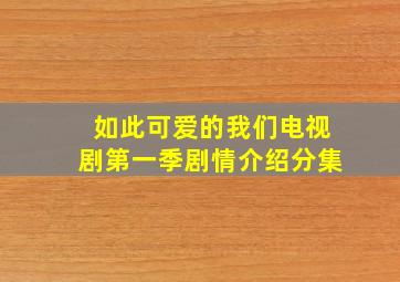 如此可爱的我们电视剧第一季剧情介绍分集