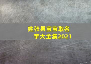 姓张男宝宝取名字大全集2021