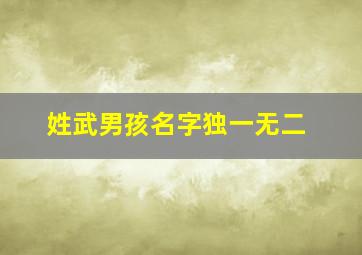 姓武男孩名字独一无二