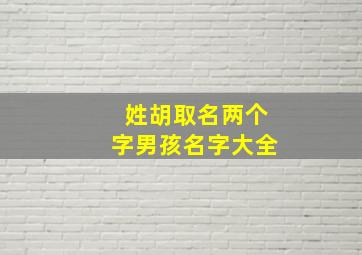 姓胡取名两个字男孩名字大全