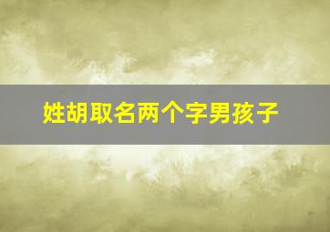 姓胡取名两个字男孩子