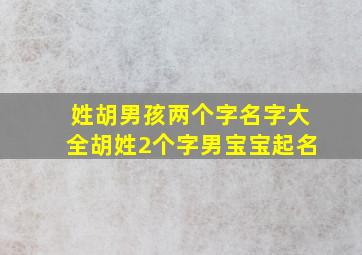 姓胡男孩两个字名字大全胡姓2个字男宝宝起名