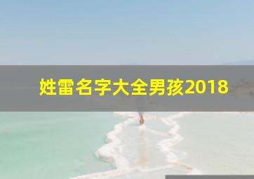 姓雷名字大全男孩2018